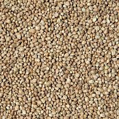 Futtermischungen Kvíder Hanfsamen abgewogen - Sämling 1 kg