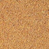 Futtermischungen Kvídera Gelbes Hirse 1kg
