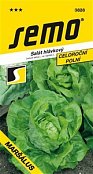 Salat Marschall 0,8g ganzjährig ***