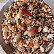Versele Laga n.v. Parrots Exotic Nut mix (směs pro papoušky - ořechy) 1 kg