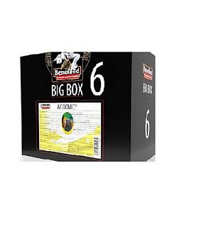Ausverkauf - Acidomid Taube Box 6l