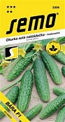 Ausverkauf - Gurke Bára F1 2g *** ** - Ausverkauf