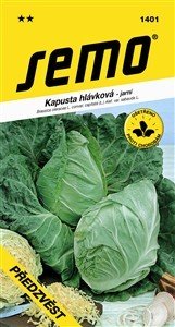 Ausverkauf - Kohlkopf Fruhstart 1g ** - Ausverkauf