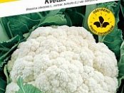 Blumenkohl Bora 0,5g ***