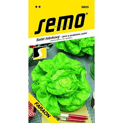 Ausverkauf – Salat Faraon **