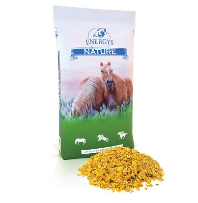 Energys Cornflakes (Maisflocken, 15 kg)