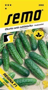 Following text translates to: Gurke Regina F1 2g *** *