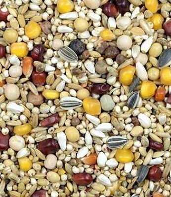 Futter für Tauben zur Federpracht - P-P 27,5 kg