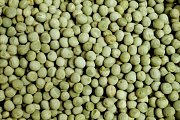 Futtermischung Kvídera grüne Erbsenfutter 25 kg