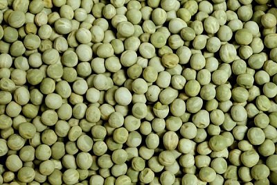 Futtermischung Kvídera grüne Erbsenfutter 25 kg