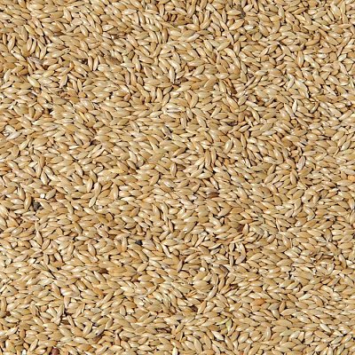 Futtermischung Kvídera Lesknice für Papageien 1 kg