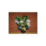 Futtermischungen Kvídera Blumen-Schale 3 rot