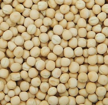 Futtermischungen Kvídera Gelbe Erbsen 25 kg