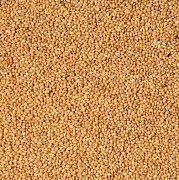 Futtermischungen Kvídera Gelbes Hirse 1kg