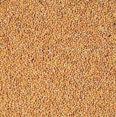 Futtermischungen Kvídera Gelbes Hirse 1kg