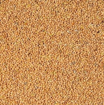 Futtermischungen Kvídera gelbes Hirse 25 kg