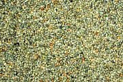 Futtermischungen Kvídera Grünes Hirse 1 kg