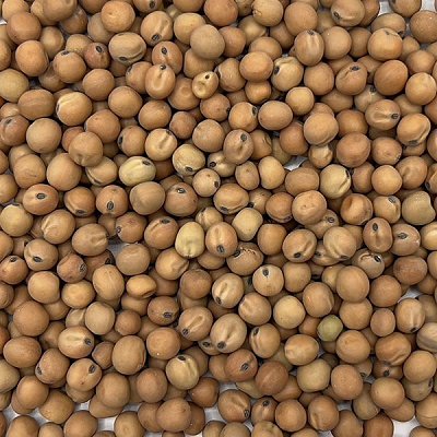 Futtermischungen Kvídera Peluška 25 kg