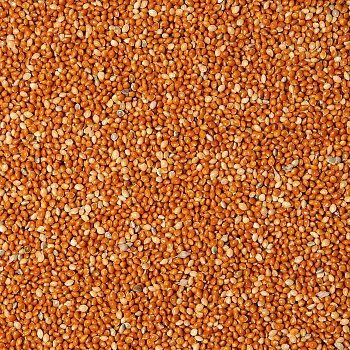 Futtermischungen Kvídera Roter Hirse für Vögel 1 kg