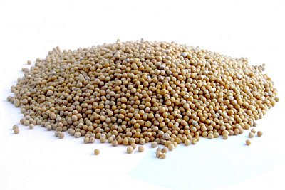 Futtermischungen Kvídera Senf 25 kg