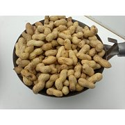 Futtermischungen Kvidera Topinambur - ungeschälte Rübe 20 kg