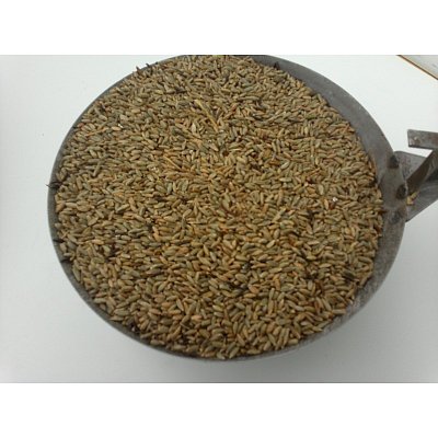 Gewogenes Roggenbrot