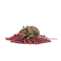 Gifte für Nagetiere