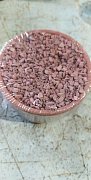 Grit Schale rot 1 Stk