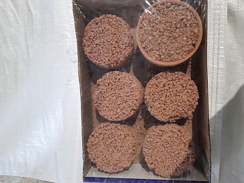 Grit Schüssel rot 6 Stück