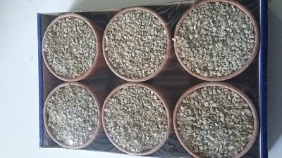 Grit weißer Schleifpapier 6 Stück
