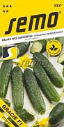 Gurke Charlotte F1 1,5g *** **