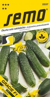 Gurke Charlotte F1 1,5g *** **