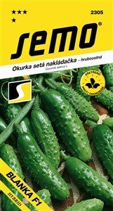 Gurken Blanka F1 1,5g *** *