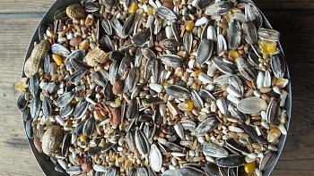 Kampol Zob für große Papageien 1 kg