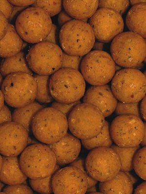 KS Fish s.r.o. Ausverkauf - Boilies 150g verrückter Tintenfisch 18 mm (150g)