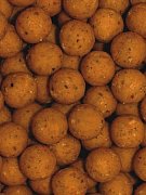 KS Fish.s.r.o. Ausverkauf - Boilies 150g verrückter Tintenfisch 20 mm (150g)