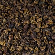 Mouční červi - Sušení 1 Kg