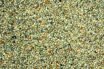 Mischfutter Kvídera Grünbrust 25 kg