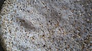 Weißer Sand für Papageien