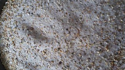 Weißer Sand für Papageien