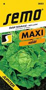 Angebot – Jupiter-Salat 0,3 g * Sommer