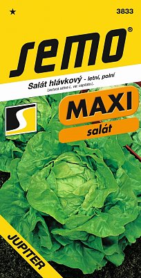 Angebot – Jupiter-Salat 0,3 g * Sommer