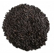 Sonnenblume schwarz für Vögel