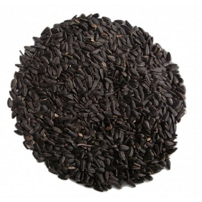 Sonnenblume schwarz für Vögel