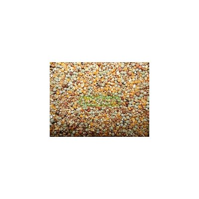 Taubenfutter D079 1 kg