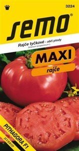 Tomate Pythagoras F1 10s ♛