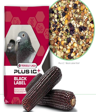 Versele Laga N.V. Champion Plus Black (für Tauben) 20 kg.
