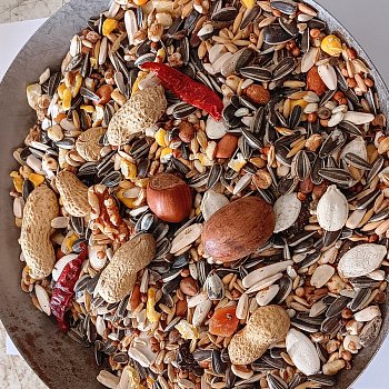 Versele Laga n.v. Parrots Exotic Nut mix (směs pro papoušky - ořechy) 15 kg
