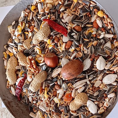 Versele Laga n.v. Parrots Exotic Nut mix (směs pro papoušky - ořechy) 15 kg
