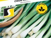 Zwiebel Gerda (geschnitten) 2g ***